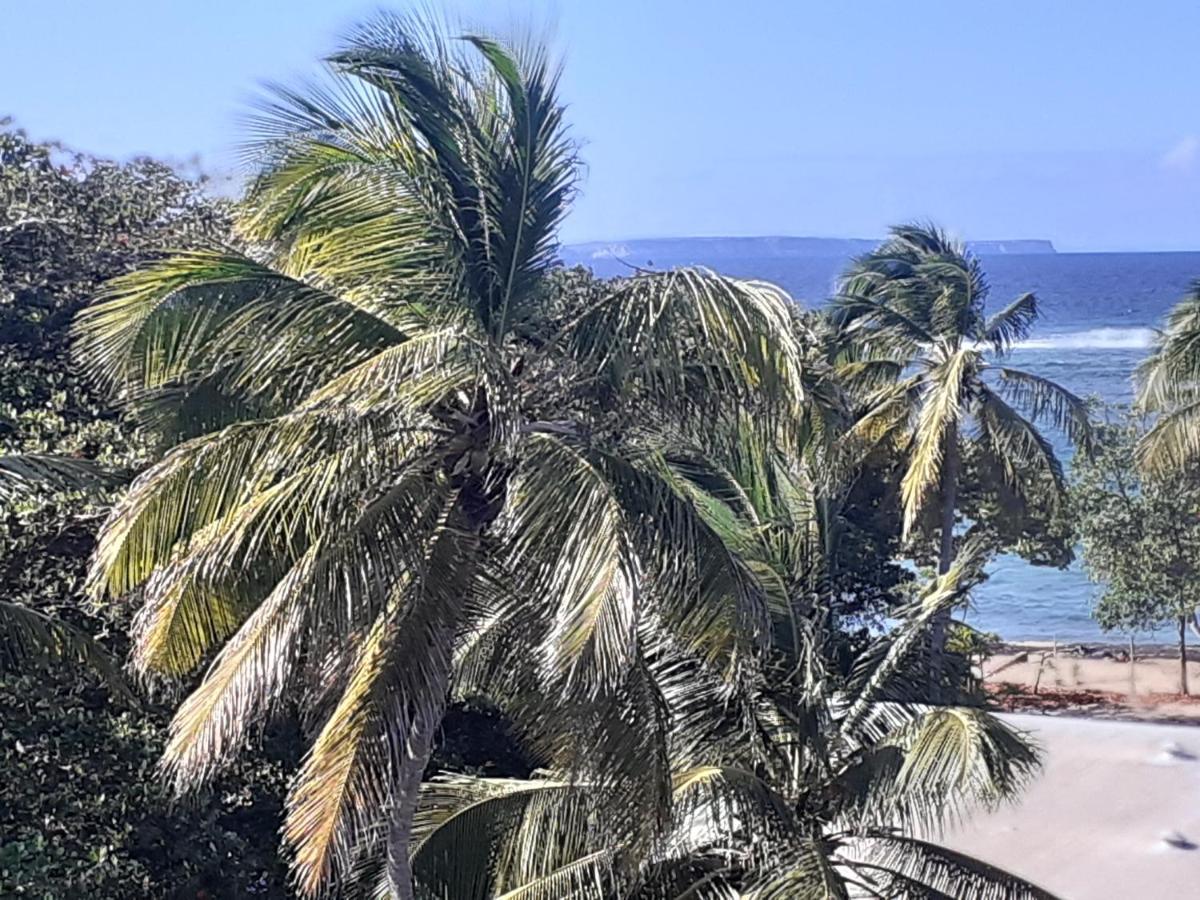 Studio Vue Sur Mer ル・ムル エクステリア 写真