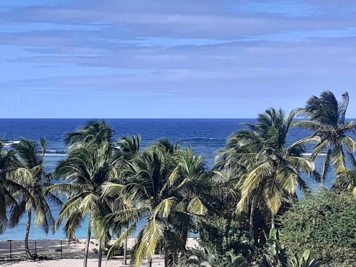 Studio Vue Sur Mer ル・ムル エクステリア 写真